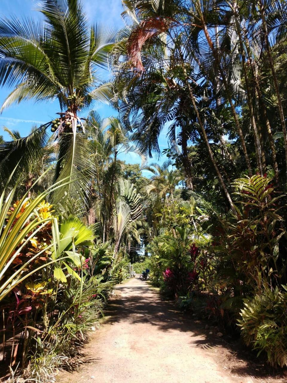 Tasty Dayz Hostel Puerto Viejo de Talamanca Eksteriør bilde