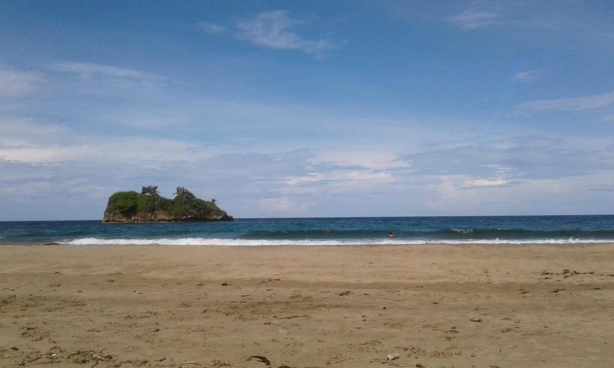 Tasty Dayz Hostel Puerto Viejo de Talamanca Eksteriør bilde