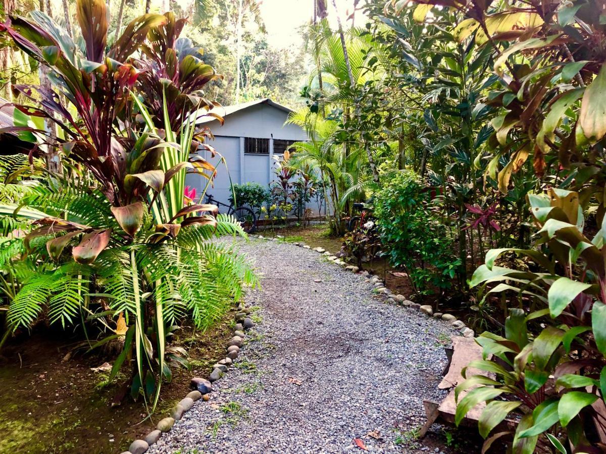 Tasty Dayz Hostel Puerto Viejo de Talamanca Eksteriør bilde