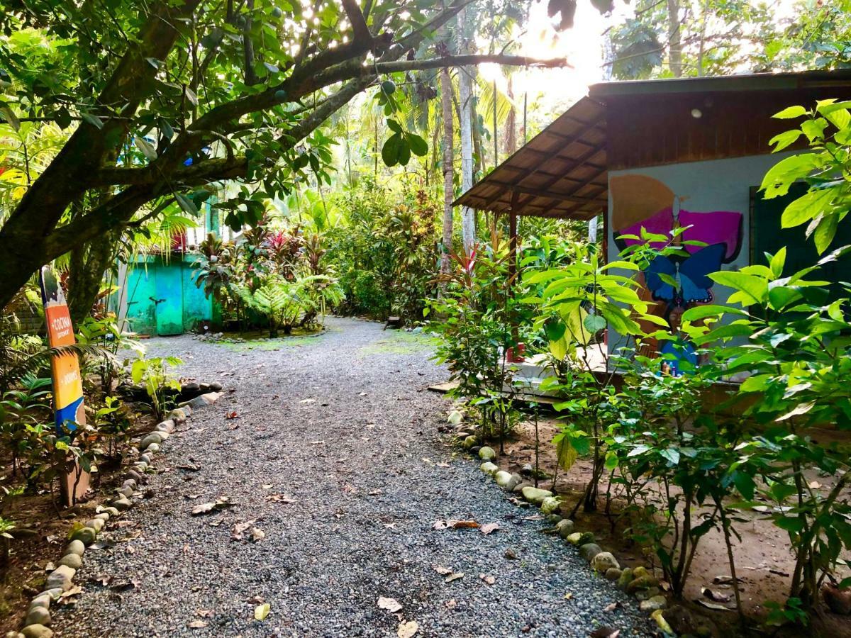 Tasty Dayz Hostel Puerto Viejo de Talamanca Eksteriør bilde
