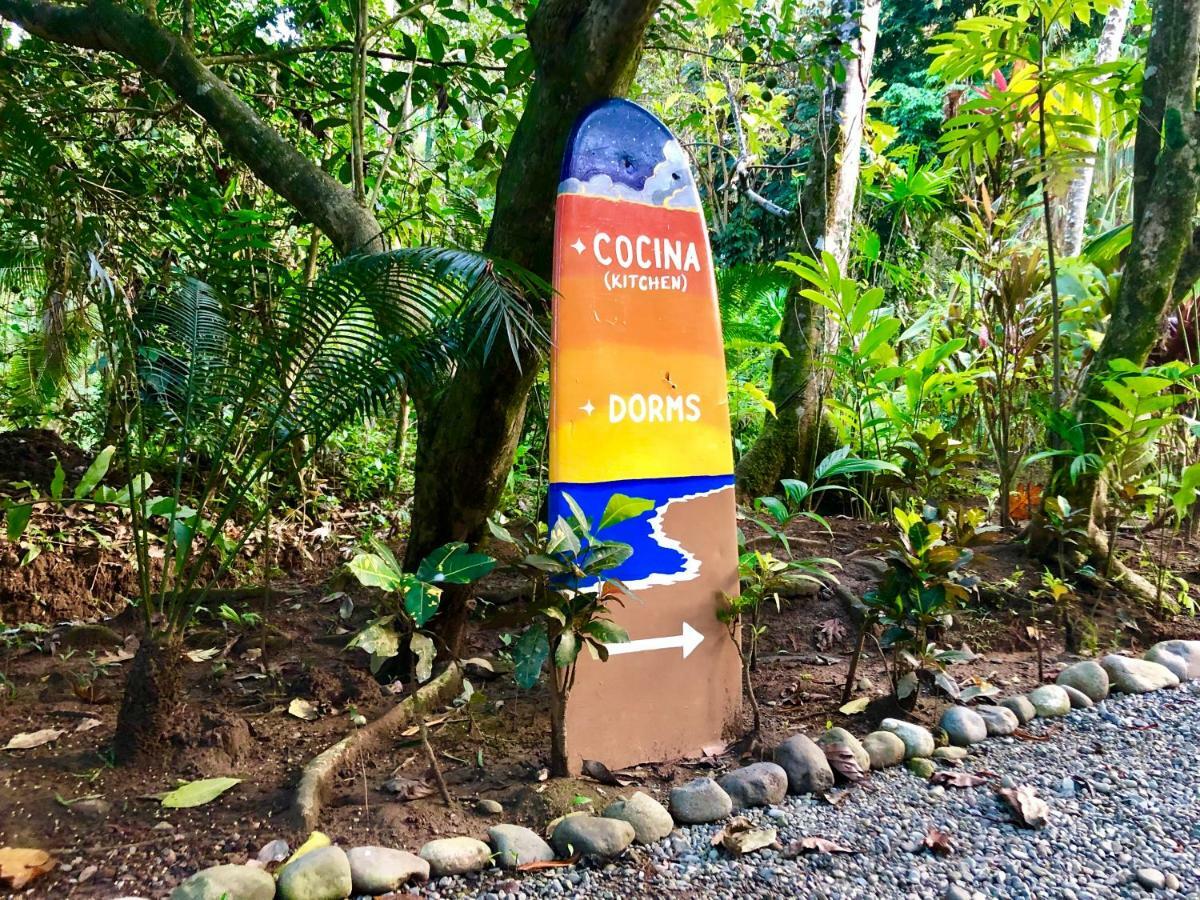 Tasty Dayz Hostel Puerto Viejo de Talamanca Eksteriør bilde