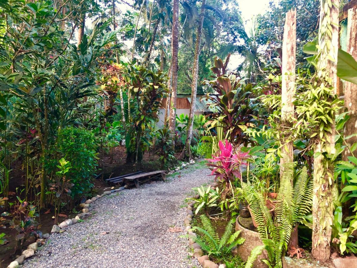 Tasty Dayz Hostel Puerto Viejo de Talamanca Eksteriør bilde